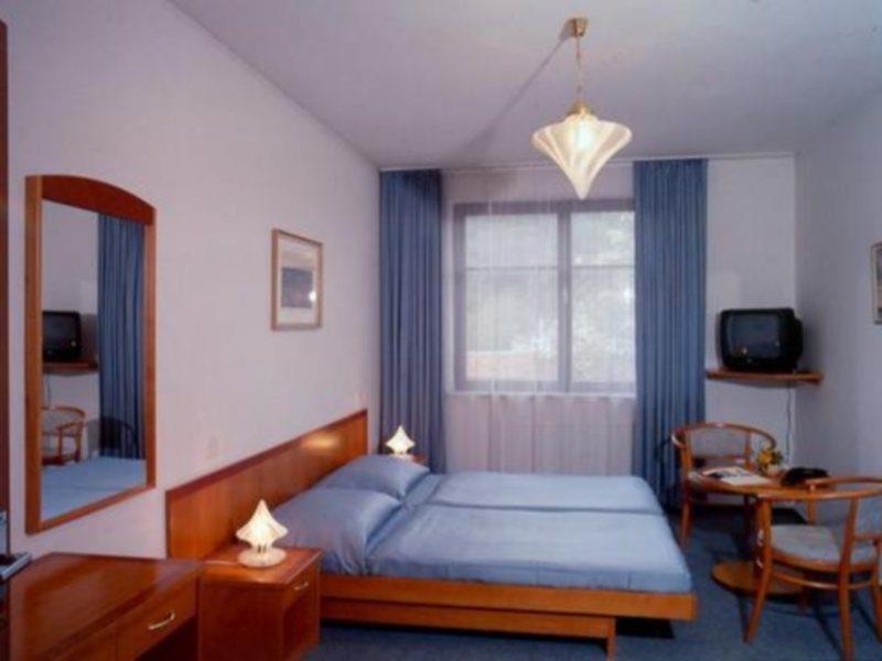 Hotel Dalimil Прага Стая снимка